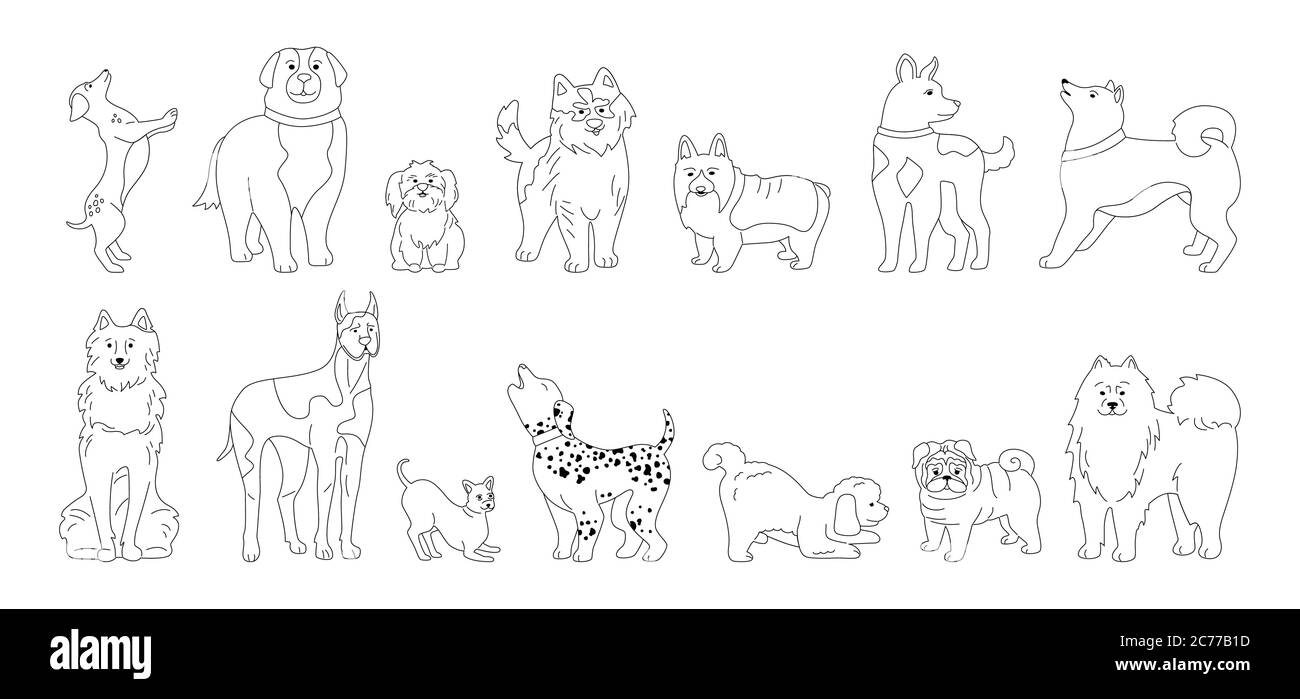 Collezione lineare di cartoni animati a carattere canino. Divertente linea razze diverse cani schizzo stile piatto. Contorno Animali amichevoli disegnati a mano Husky, corgi, pug e dachshund. Illustrazione vettoriale isolata Illustrazione Vettoriale