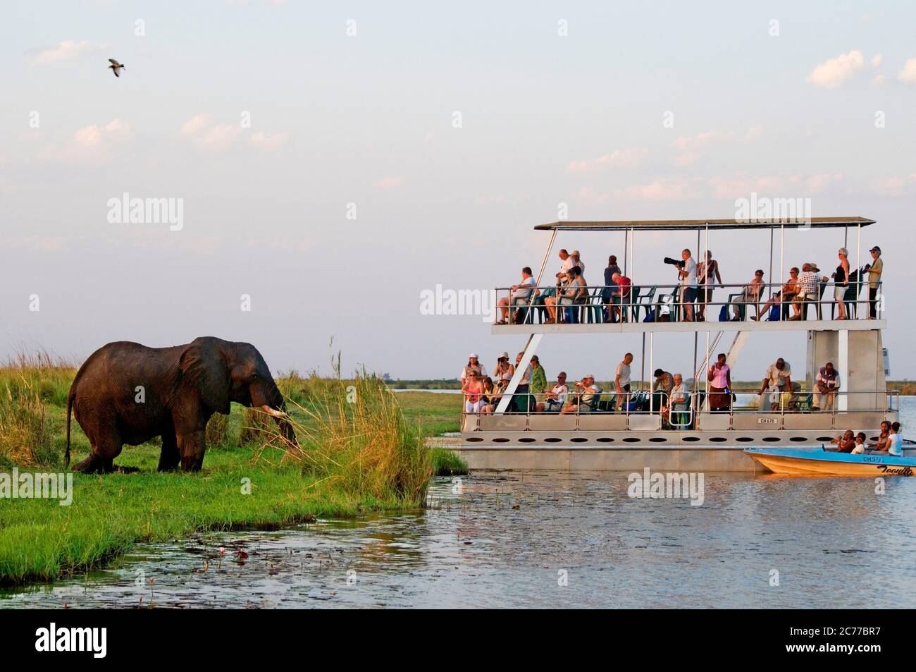 I turisti si trovano a bordo di una barca turistica nel Parco Nazionale Chobe del Botswana Foto Stock