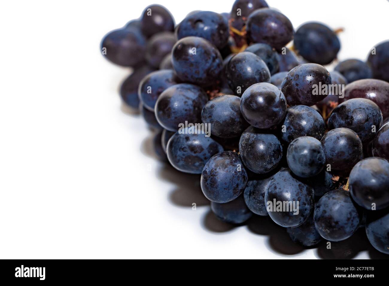 Grappoli di uve scure isolati su sfondo bianco. Chiodo di garofano fresco e maturo isolato su sfondo bianco. Posiziona per il testo. Foto Stock