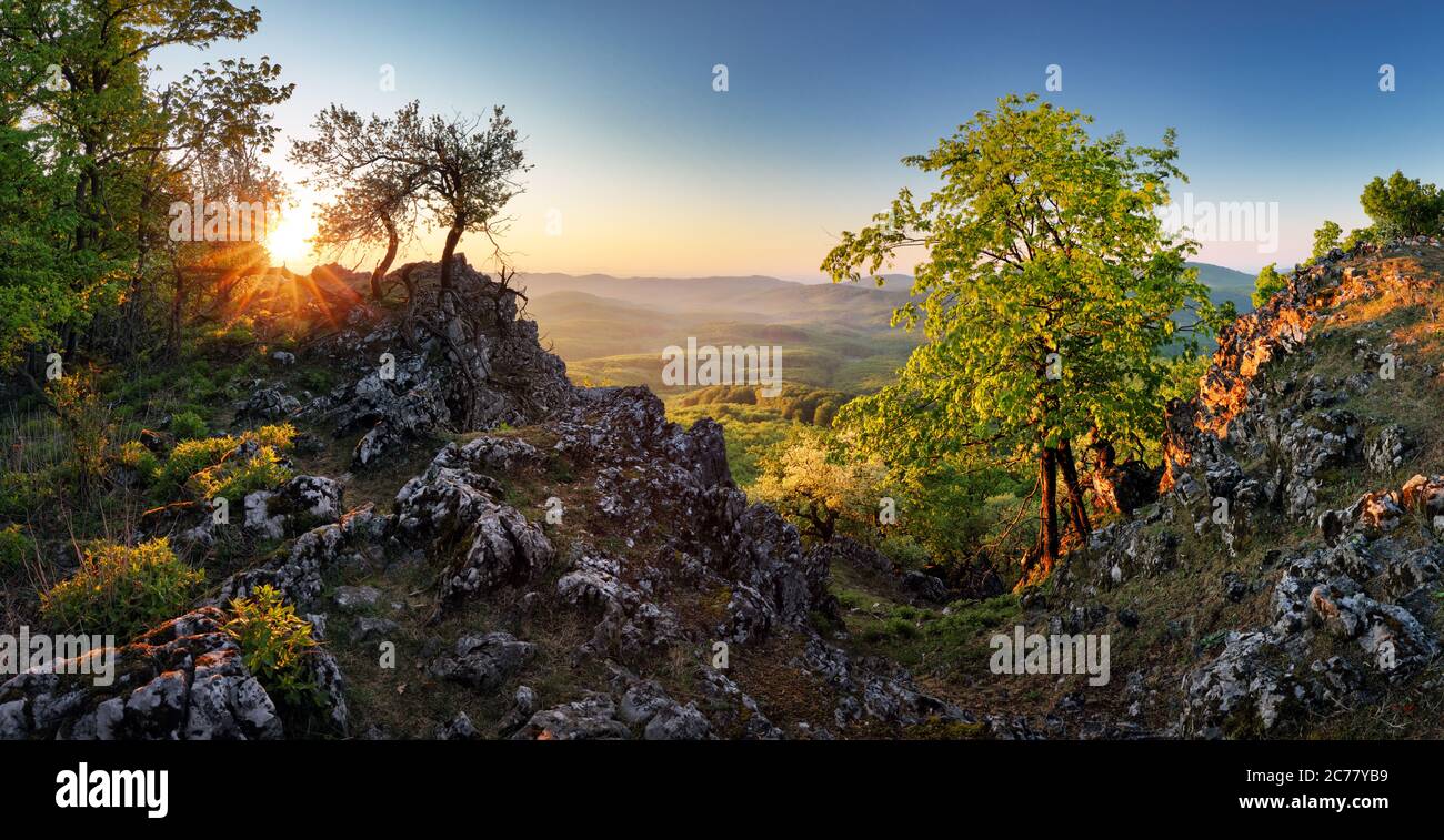 Mattina di sole in montagna. Bella composizione del paesaggio. Foto Stock