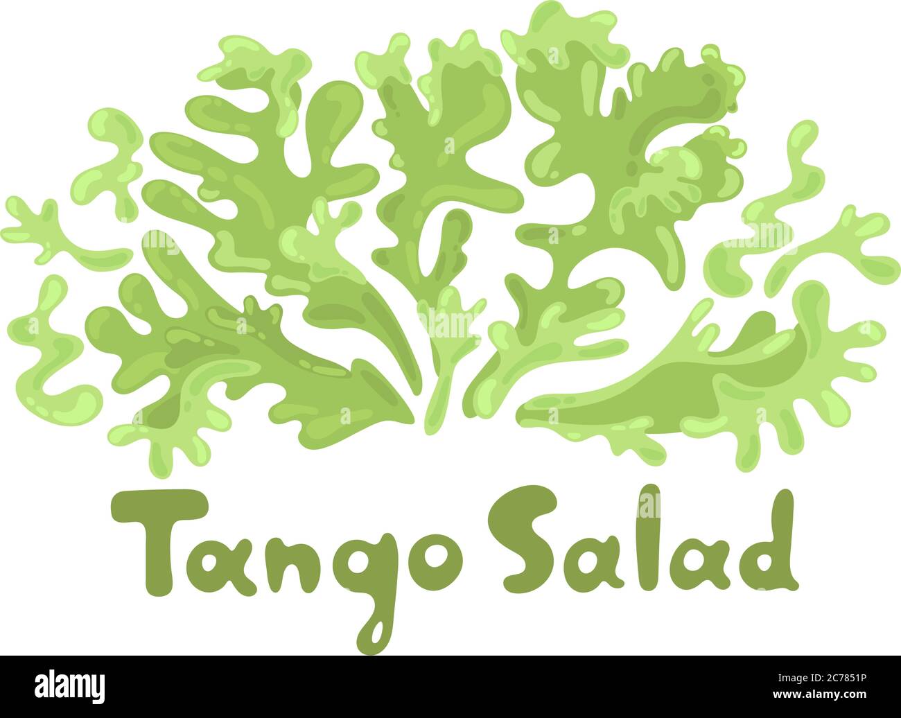 Insalata di tango. Verdure verdi a foglia. Icona botanica piatto carino. Tipi di insalata popolare disegnati a mano. Ottimo per cucinare articoli, web design, dietetica Illustrazione Vettoriale