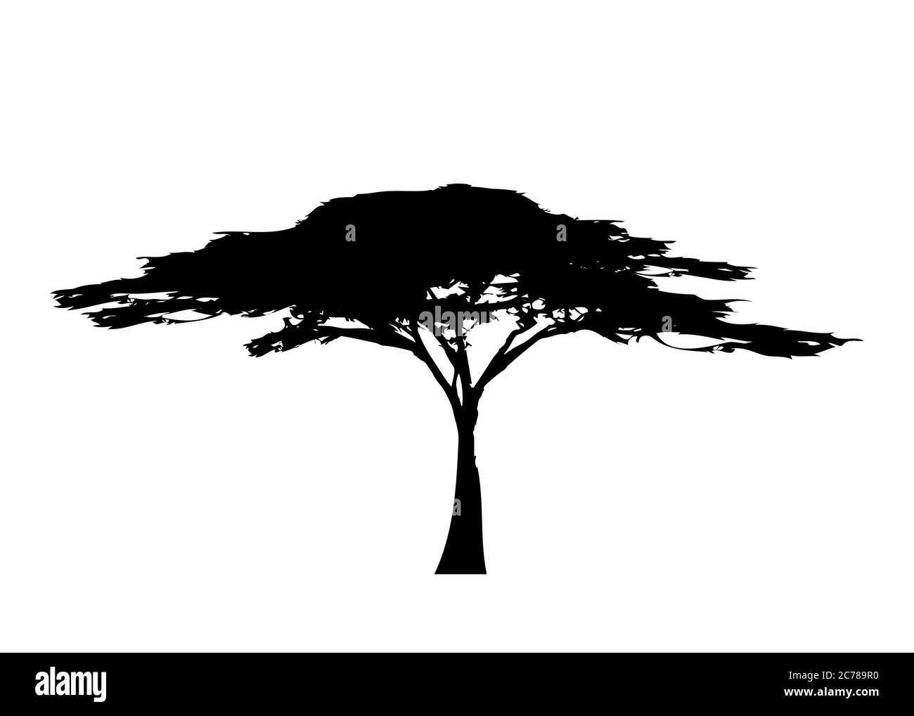 Logo africano tropicale albero icona colore bianco e nero, silhouette albero di acacia, natura verde safari ecologia concetto, biologico natura concetto, isolato Illustrazione Vettoriale