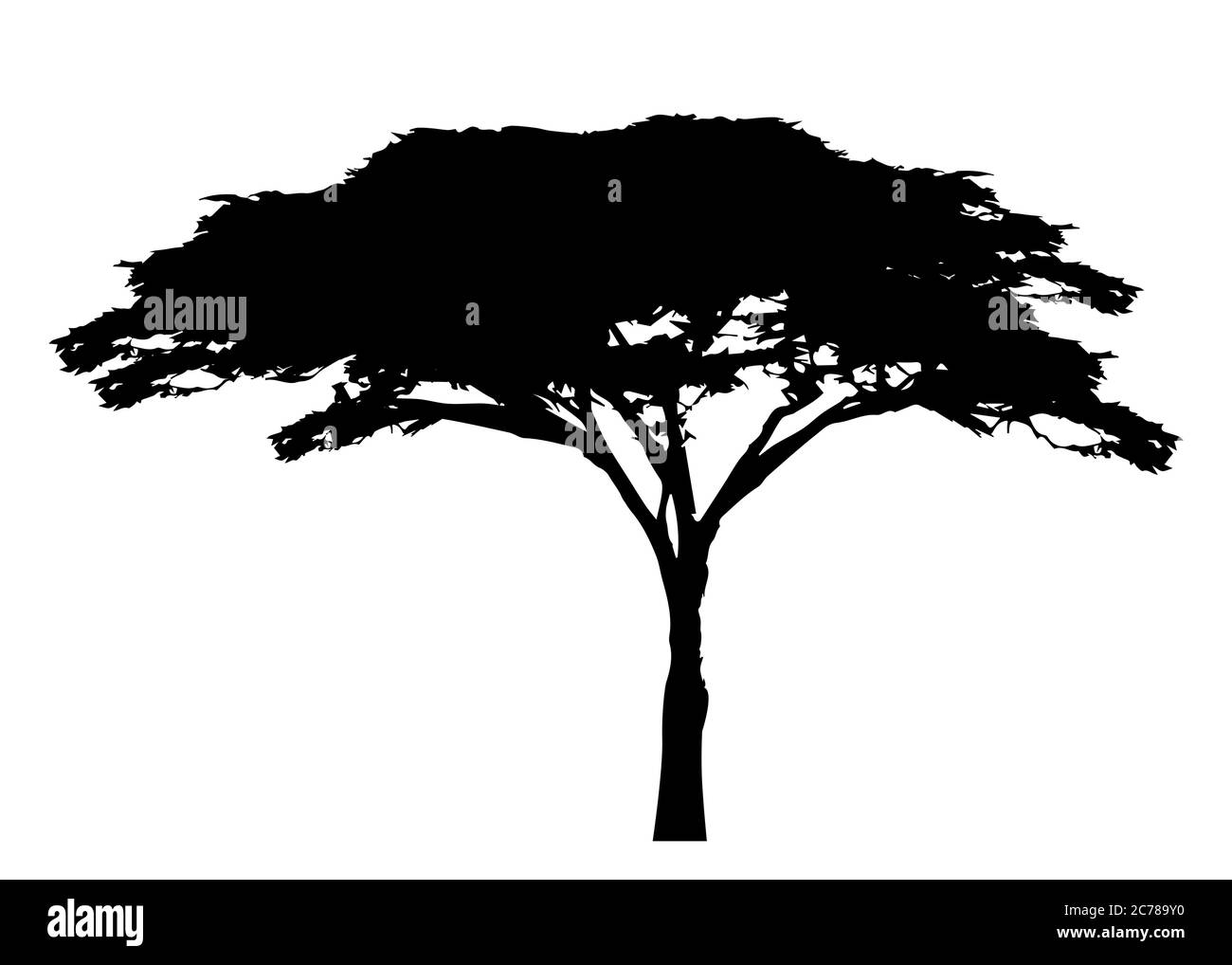 Logo africano tropicale albero icona colore bianco e nero, silhouette albero di acacia, natura verde safari ecologia concetto, biologico natura concetto, isolato Illustrazione Vettoriale