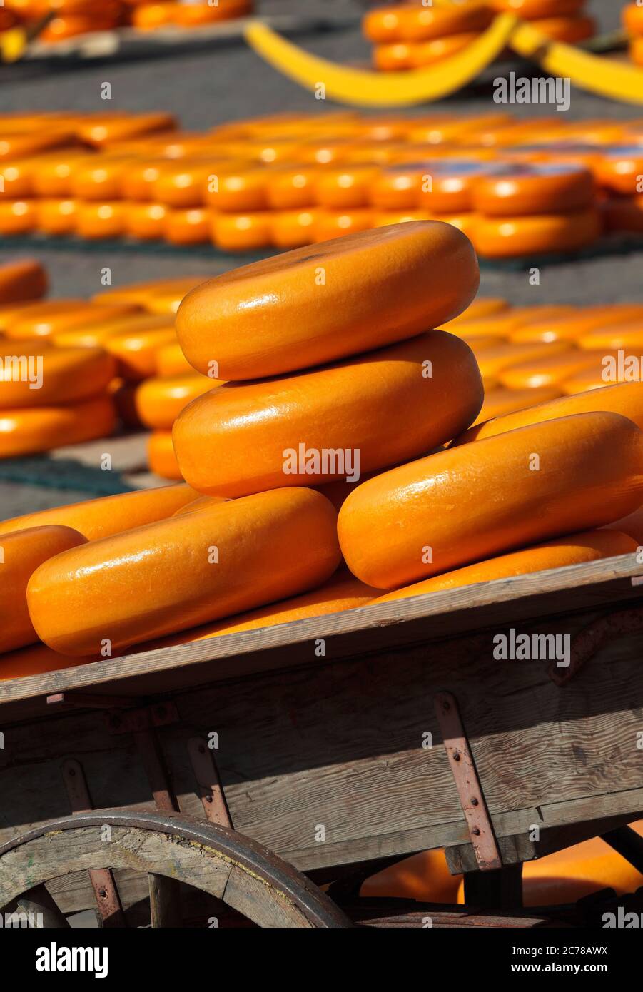 Formaggio olandese sul famoso mercato del formaggio di Alkmaar Foto Stock