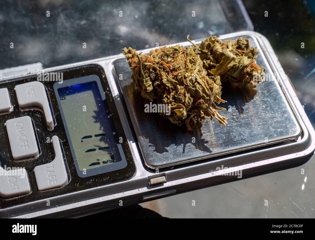 Libra con i commercianti di droga di marijuana di cannabis Foto Stock