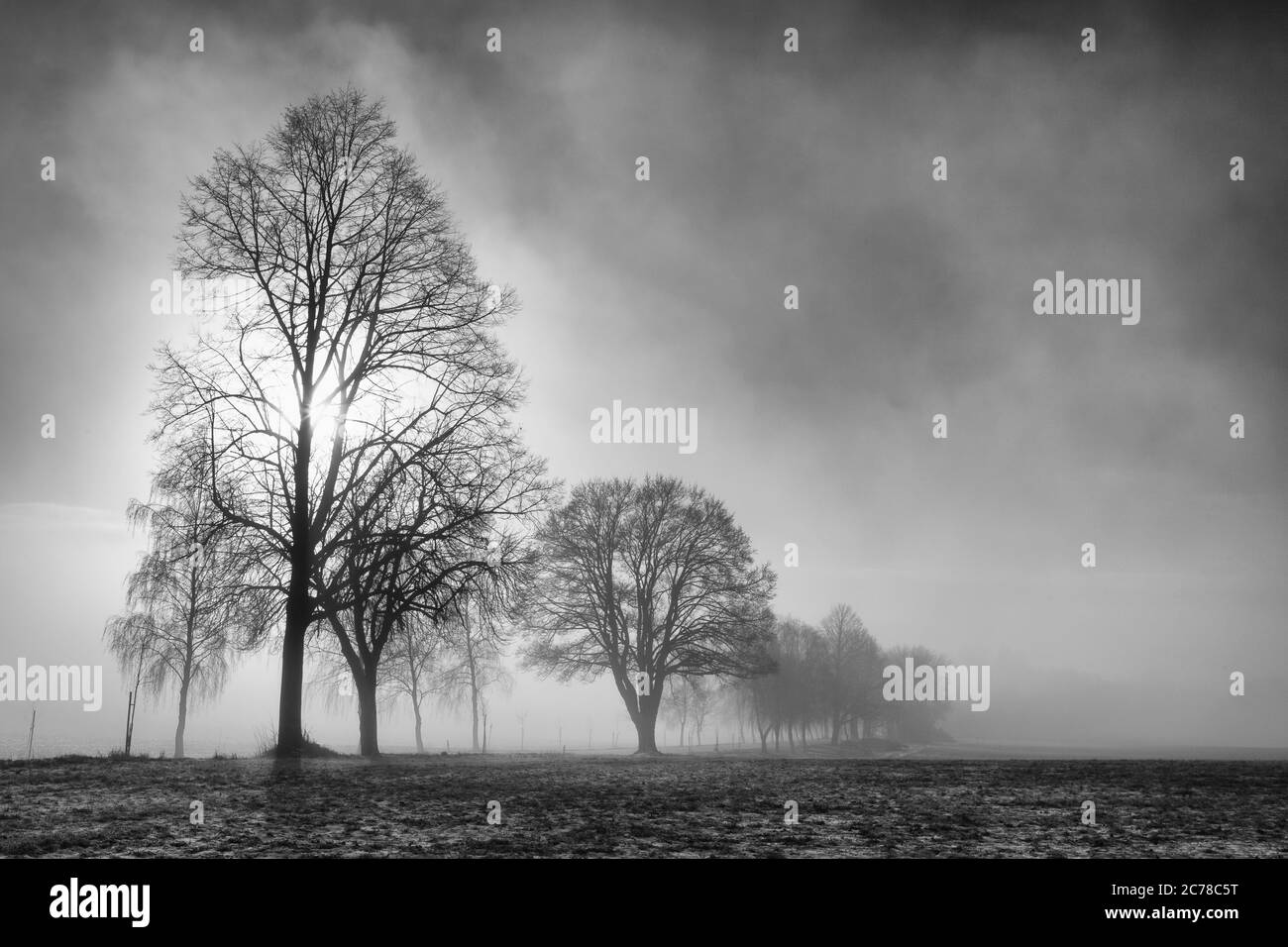 Paesaggio invernale nella suggestiva nebbia mattutina. Paesaggi misteriosi. Foto Stock