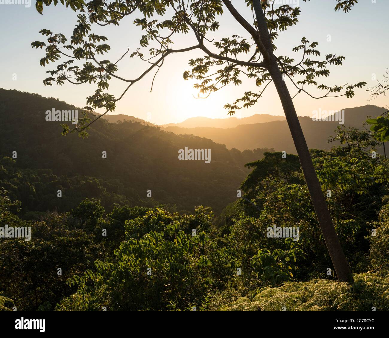 Vista del paesaggio al tramonto vicino Minca, Magdalena Department, Carribean, Colombia, Sud America Foto Stock