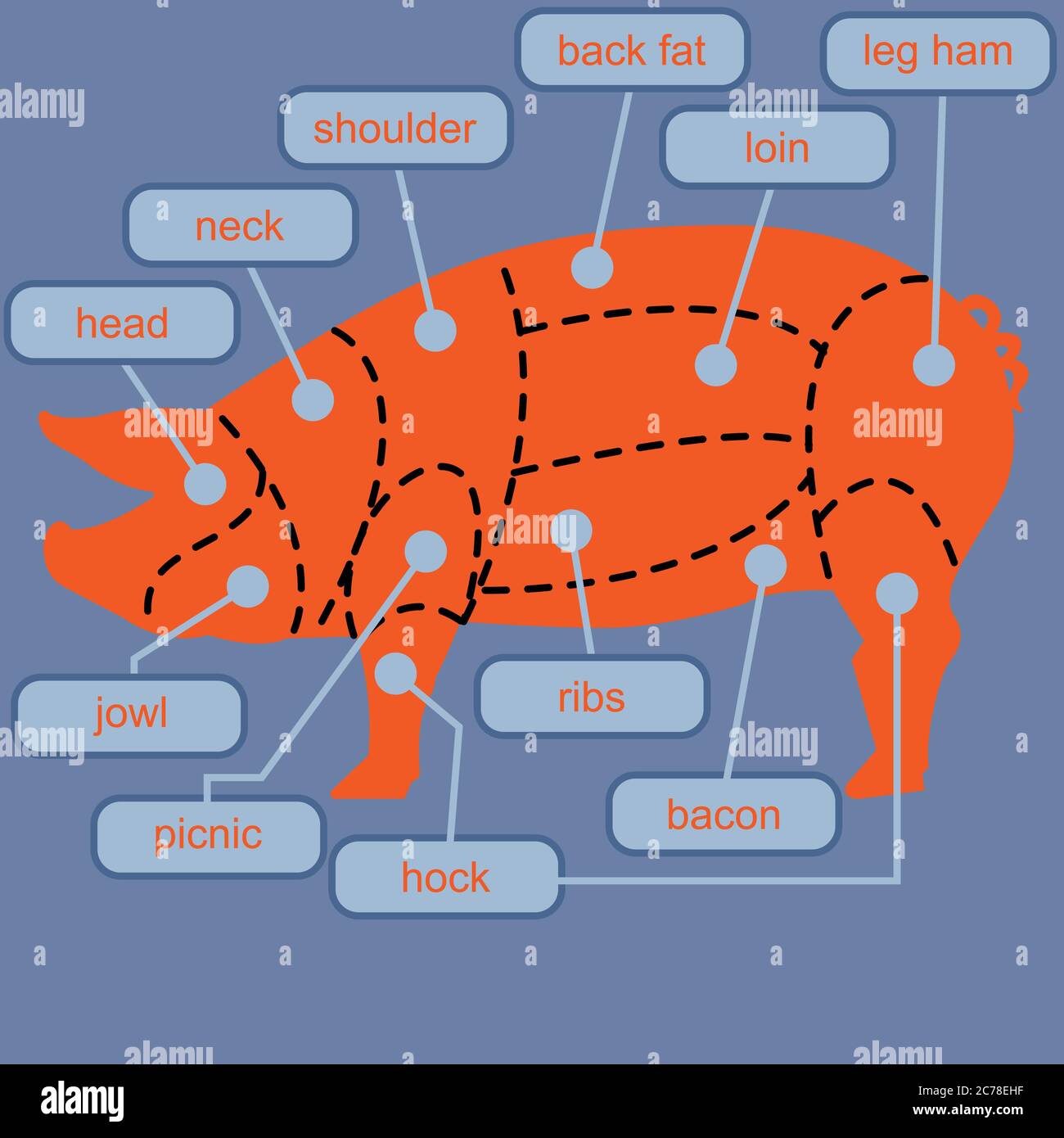 Grafico dei tagli di carne di maiale da taglio, vettore concettuale Illustrazione Vettoriale