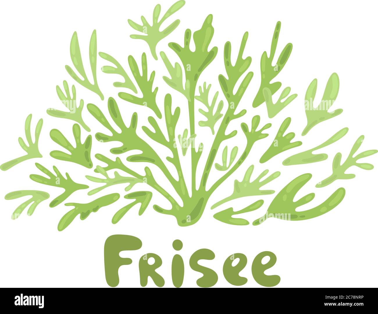 Icona di frittella con il doodle. Illustrazione della lattuga del frisone del cartone animato. Insalata carina Frisee design semplice. Sagome delle foglie di insalata. Elementi di stile moderno per Illustrazione Vettoriale