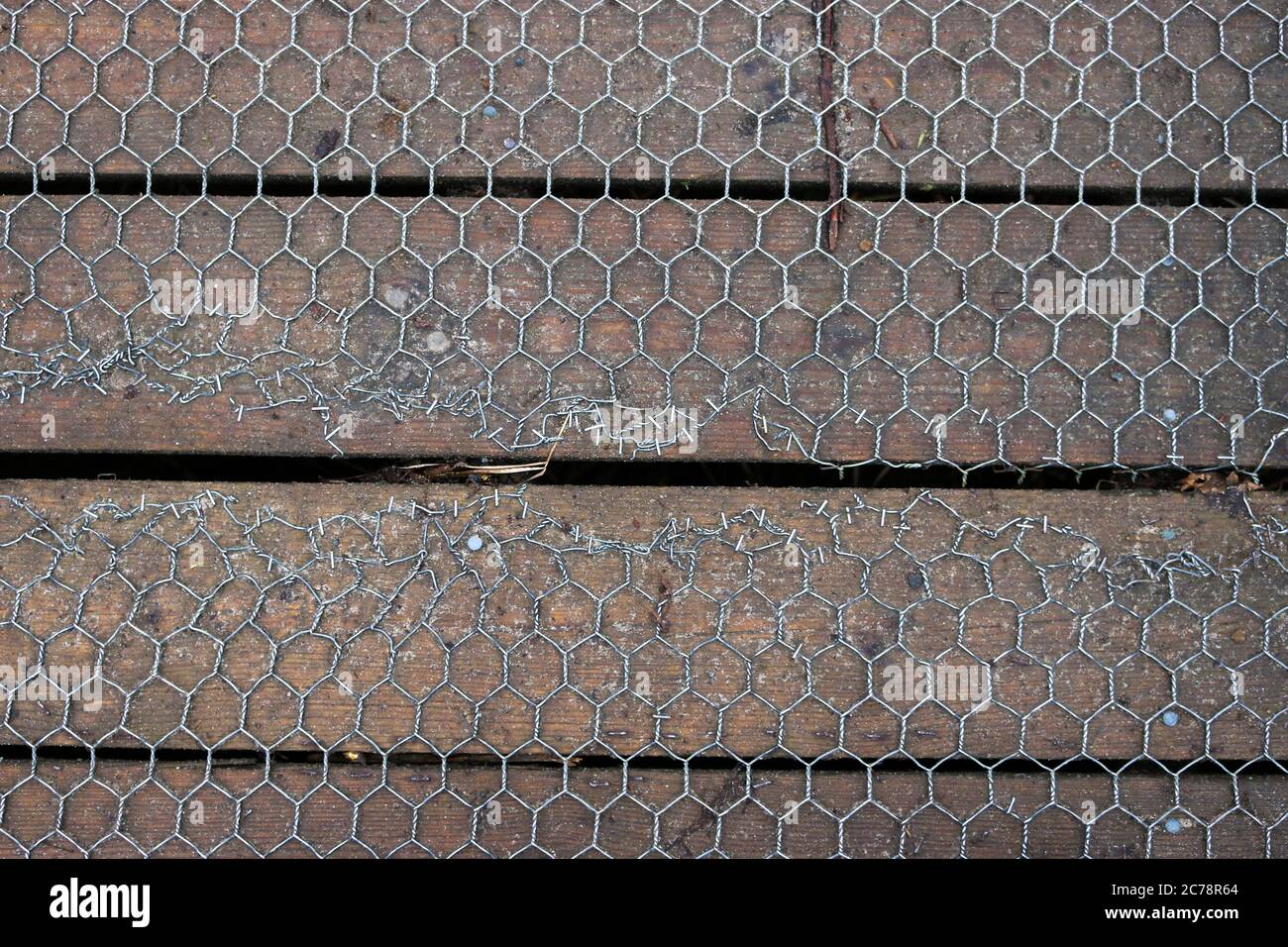 Riparata passerella in legno coperta in rete esagonale metallica con graffette che tengono in basso il bordo danneggiato del filo senza sfondo. Foto Stock