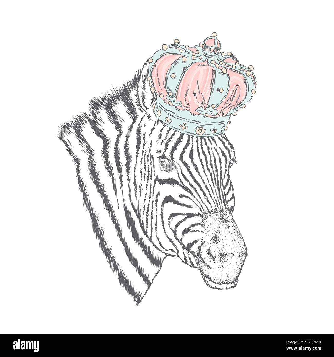 Una zebra nella corona. Illustrazione vettoriale. Illustrazione Vettoriale