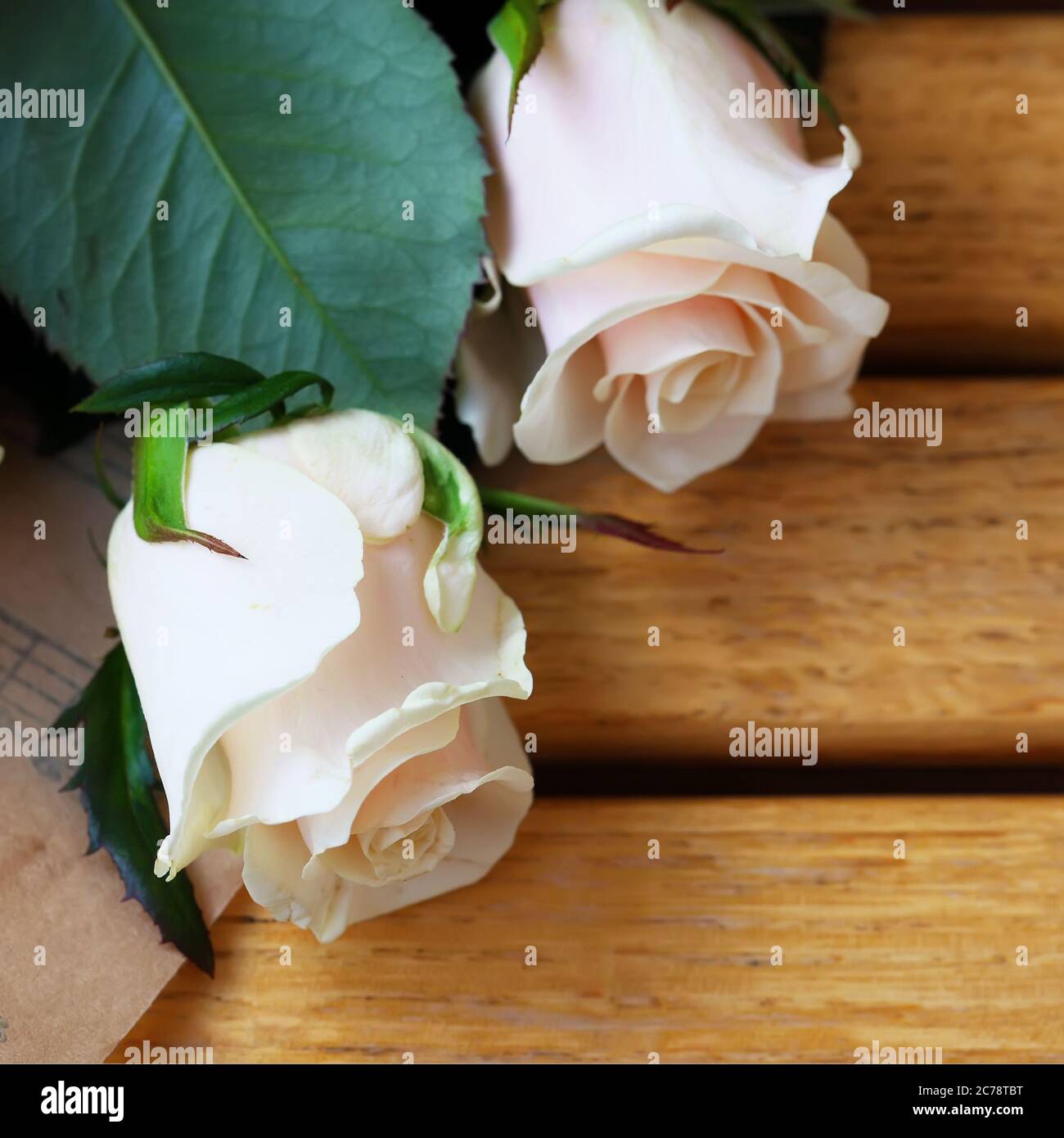 Bouquet di rose pastello naturali. Sfondo di legno Foto Stock