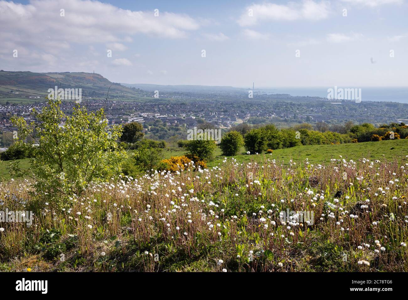 Vista da Carnmoney Hill Foto Stock