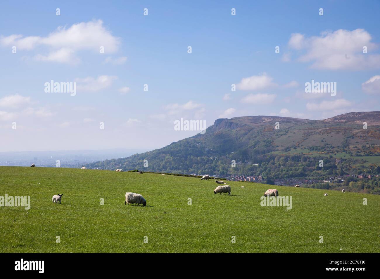 Vista dalla cima della collina di Carnmoney verso Belfast e Cavehill Foto Stock