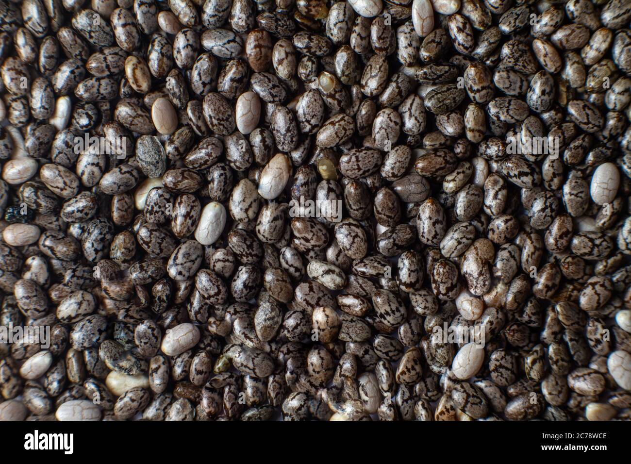 Macro foto di semi di chia. Superalimenti, semi neri sani organici, fonte di omega 3, calcio e ferro. Alimentazione, dieta e assistenza sanitaria adeguate. Foto Stock