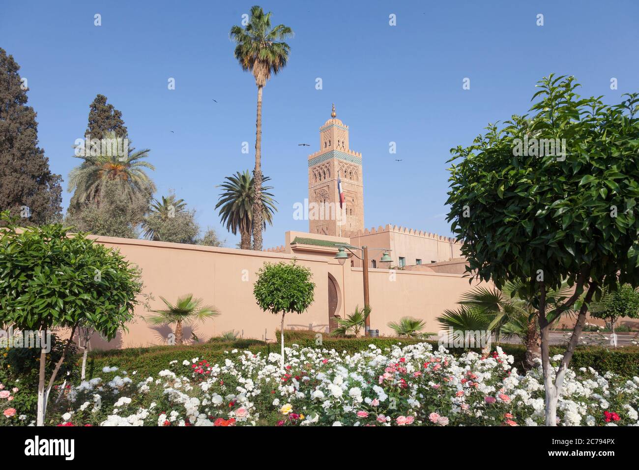 Parte della Moschea di Kutubiyya in arenaria in stile Almohad nel centro di Marrakech / Marrakech, Marocco, vista su un giardino di rose. Questa è la moschea più grande Foto Stock