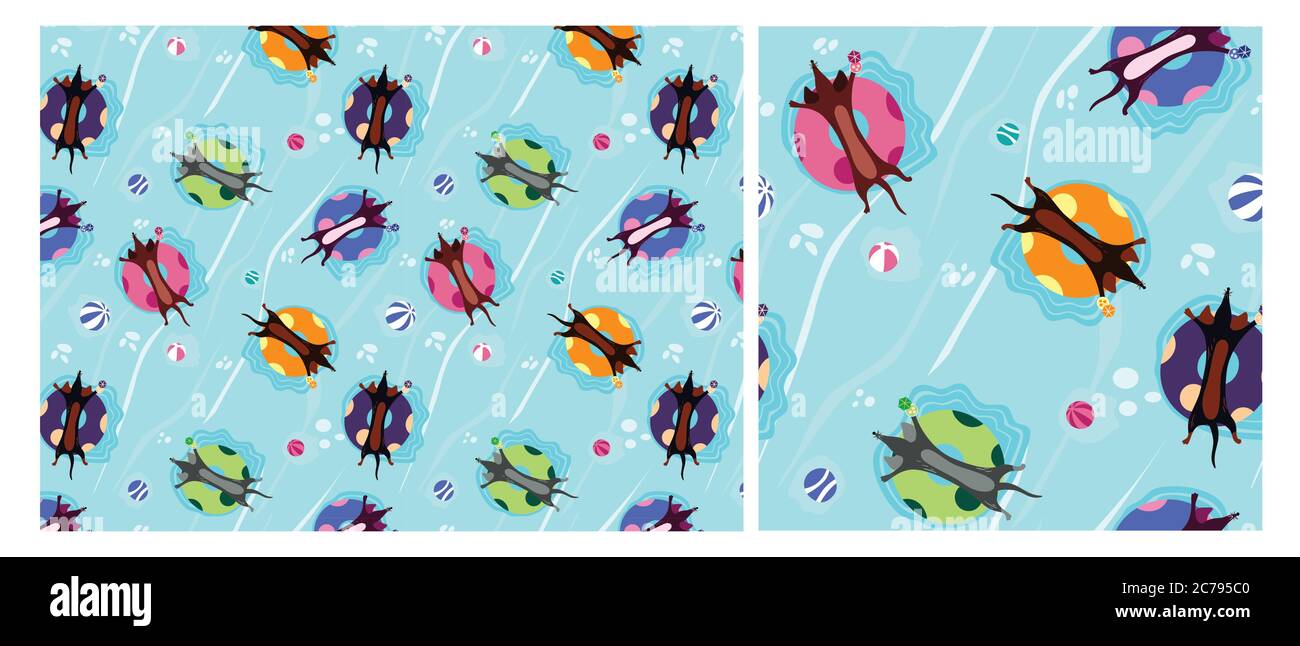 Un'illustrazione vettoriale di un cane carino dachshund wiener in una piscina. Un anello di gomma su una spiaggia Illustrazione Vettoriale