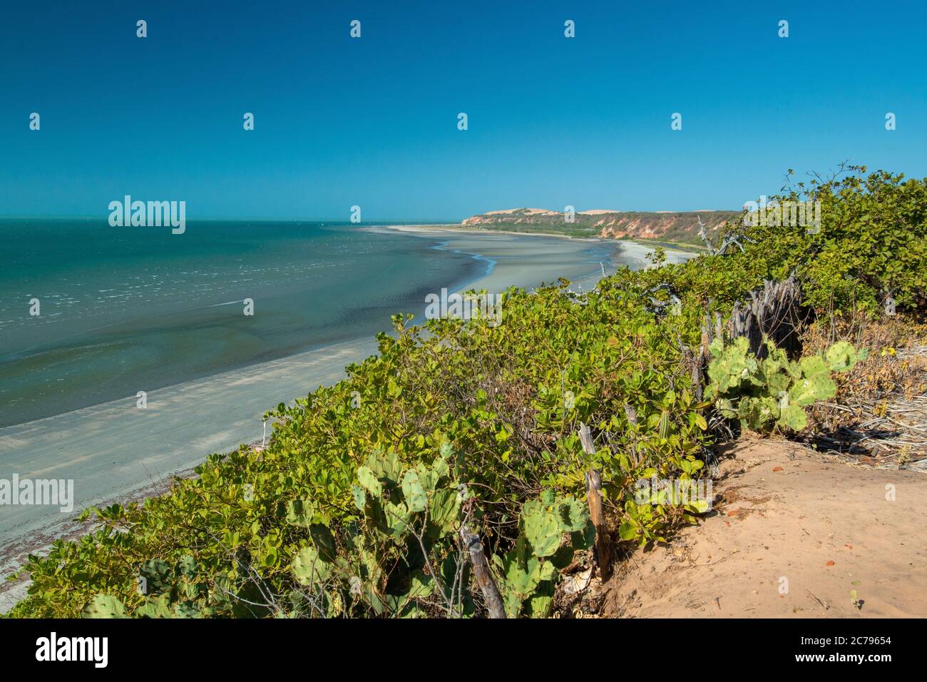 Spiaggia di Ponta grossa, Icapuí, Ceará, Brasile Foto Stock