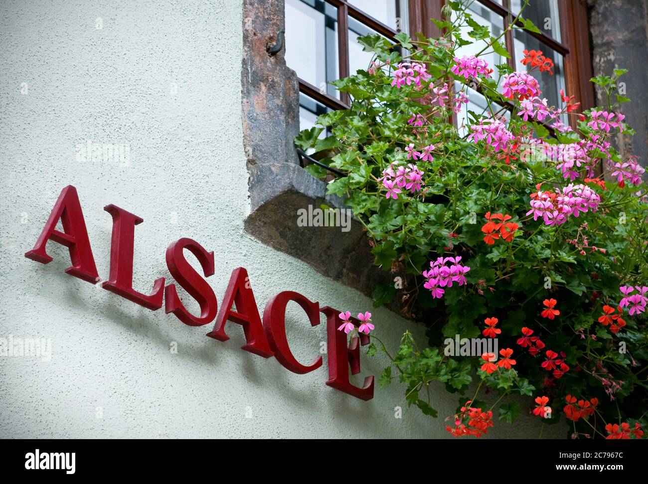 Alsazia segno colorato finestra floreale casella fuori cantina con 'Alsazia' segno generico Alsazia Francia Foto Stock