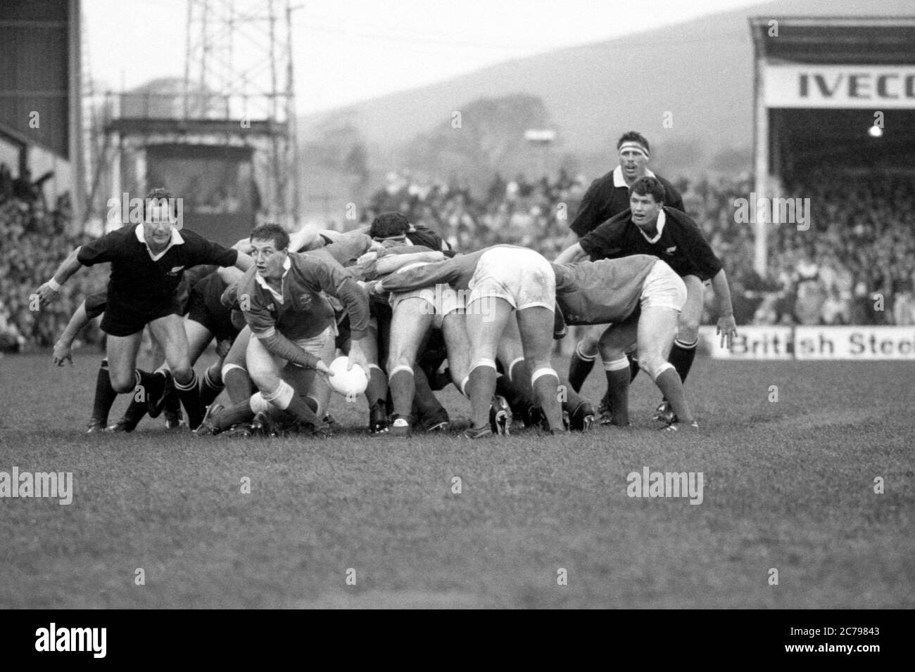 Llanelli RFC mischia mezzo Mike Griffiths passa la palla dalla base della mischia sotto l'occhio vigile dei Bruce Deans della Nuova Zelanda a Stradey Park, Llanelli, Galles il 28 ottobre 1989. Foto Stock