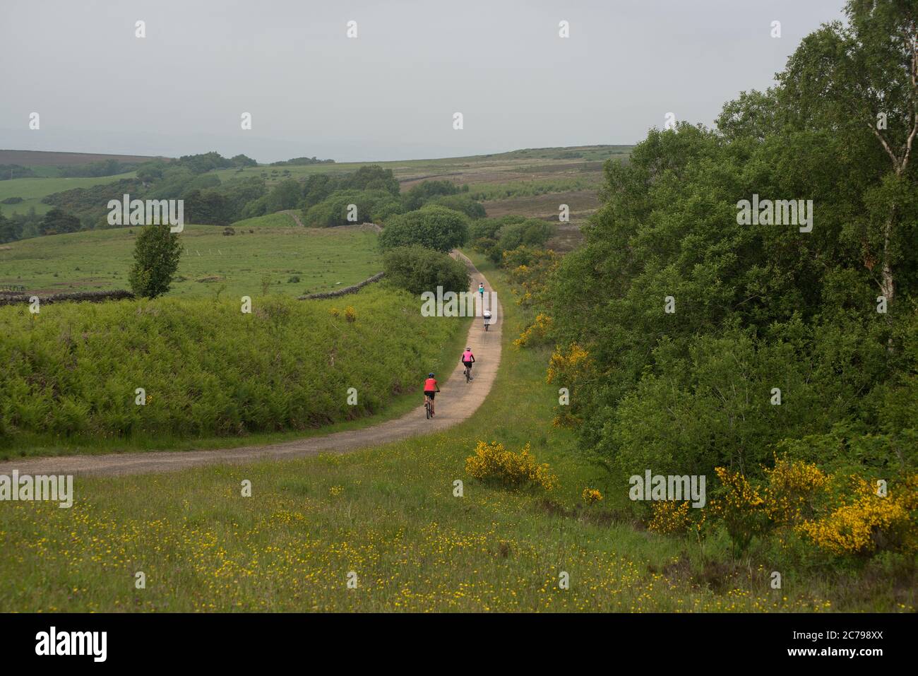 Quattro ciclisti femminili, uniformemente distanziati, percorrono un sentiero di campagna completamente libero dal traffico Foto Stock