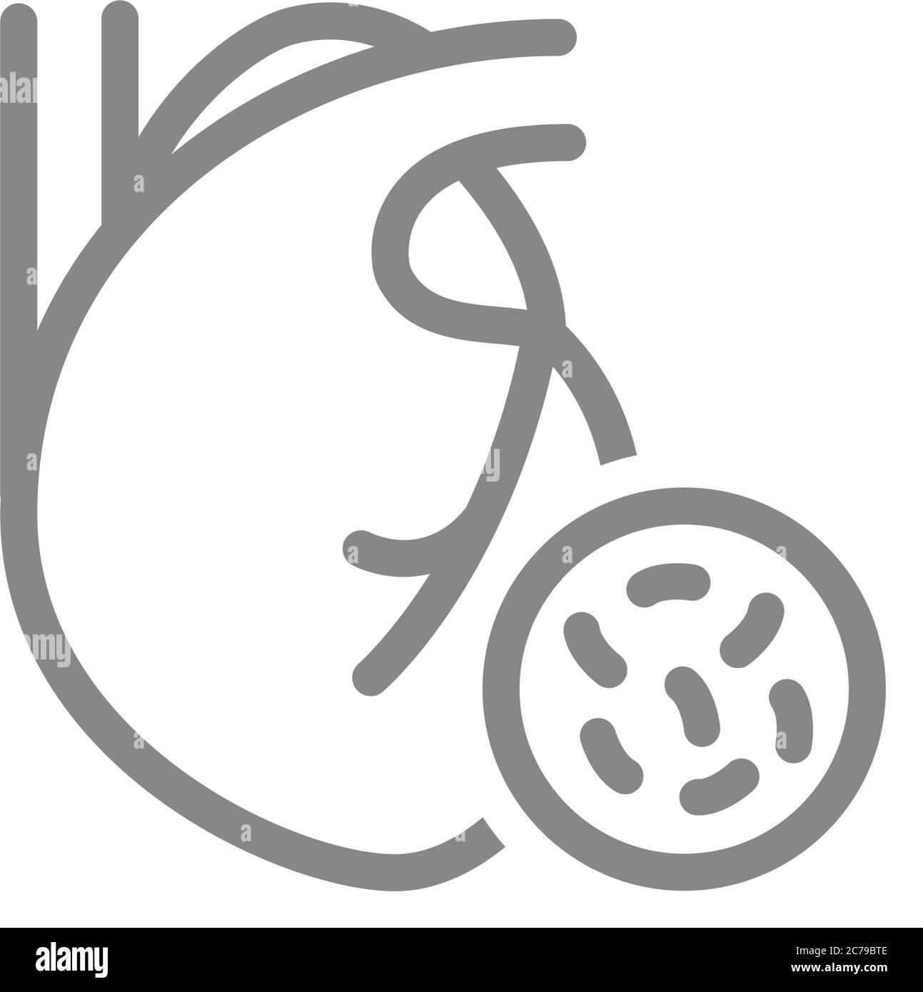 Icona cuore con linea di batteri. Malattia organo interno, malattia infettiva, simbolo di cardiosclerosi Illustrazione Vettoriale