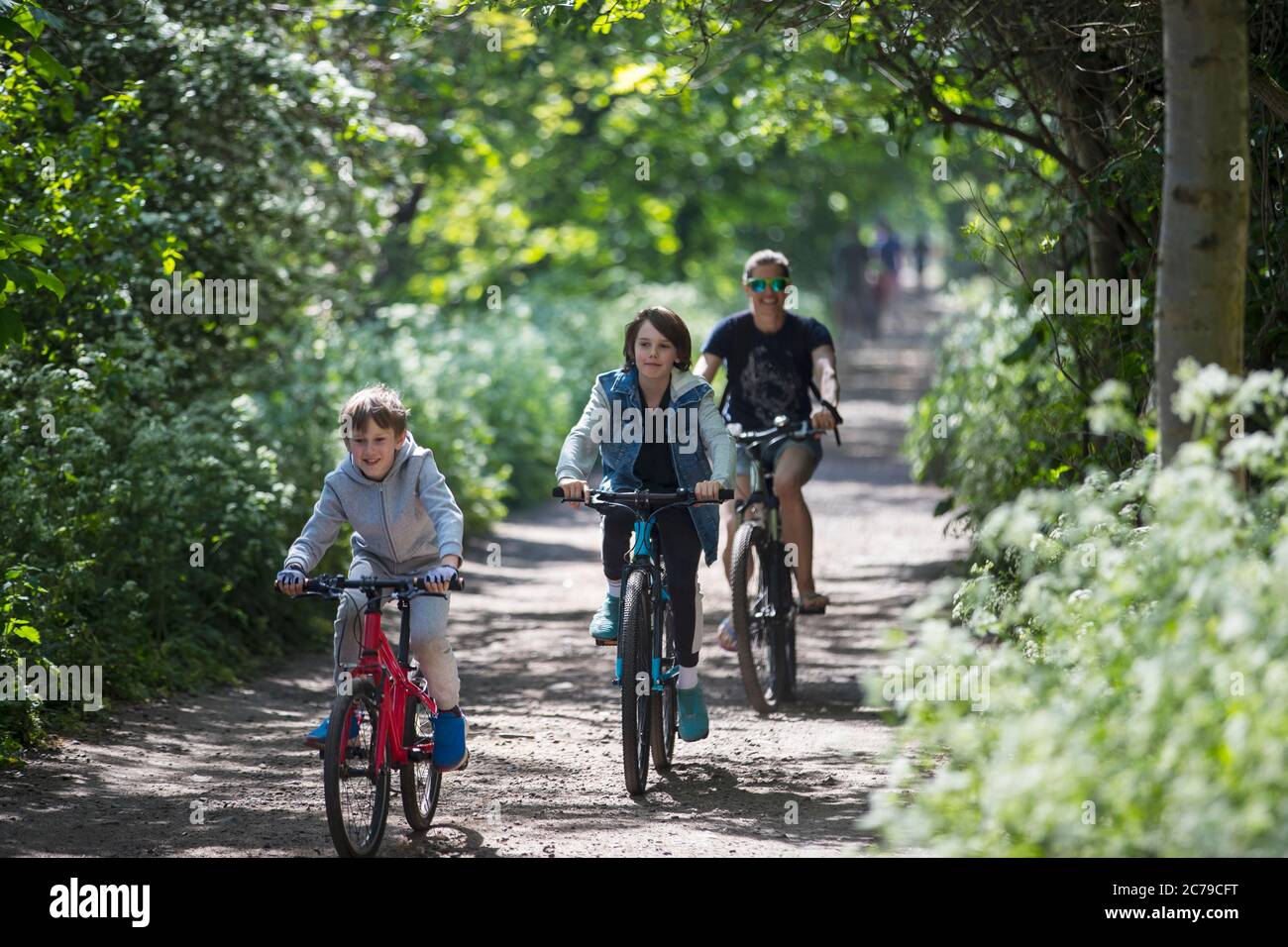 Madre e figli in bicicletta su un soleggiato sentiero del parco Foto Stock