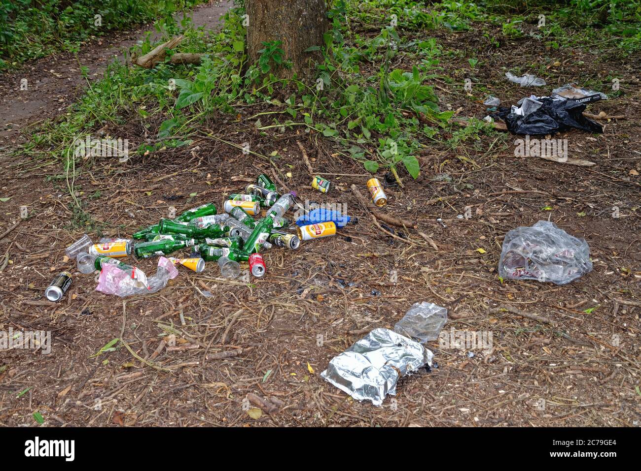 Bottiglie di birra vuote e lattine di bevande usate scaricate in un luogo rurale Foto Stock