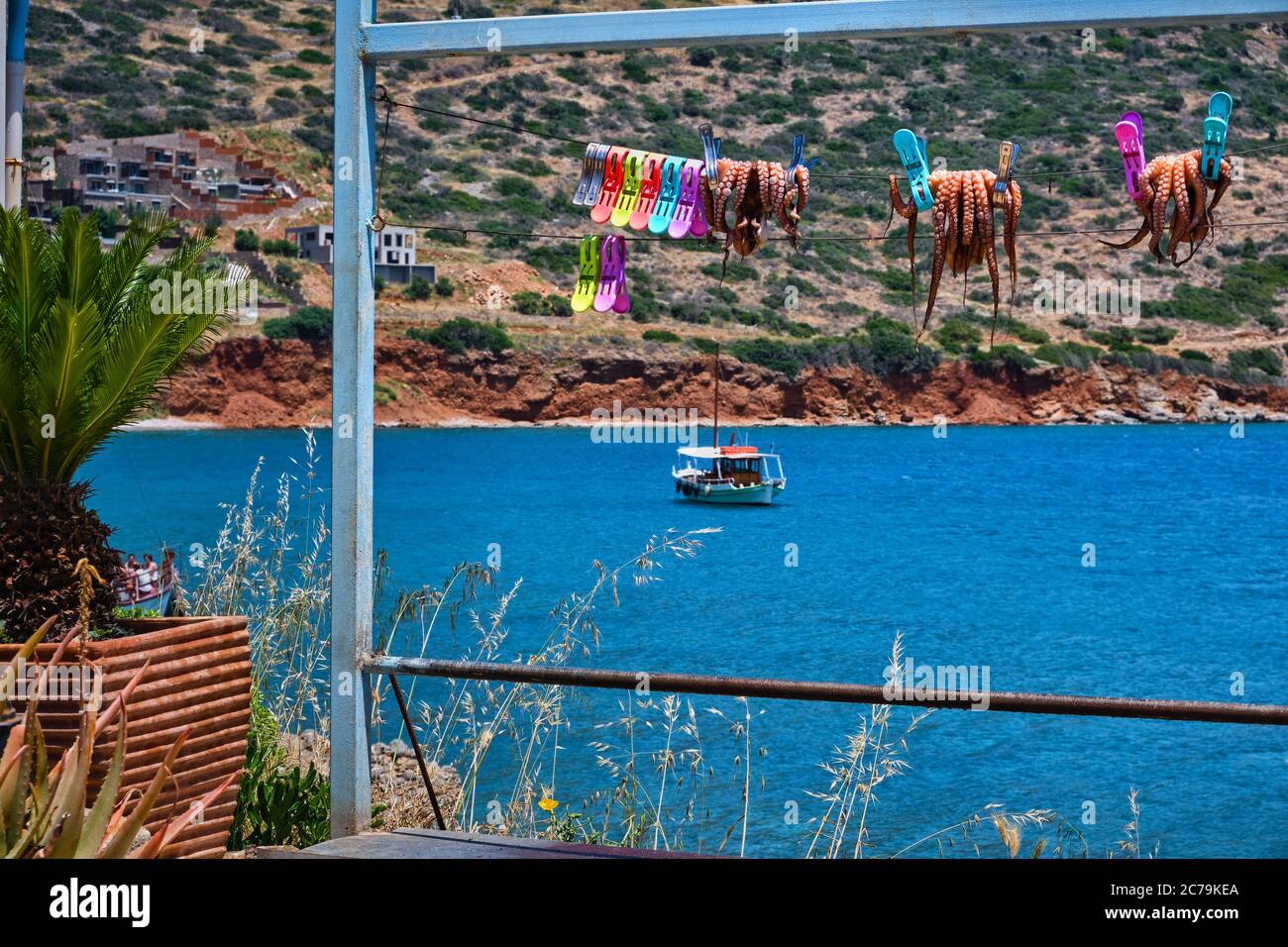 Polpi tradizionali essiccati al sole, fissati a corda con le tipiche colline greche e la barca dei pescatori sullo sfondo, Creta, Grecia Foto Stock