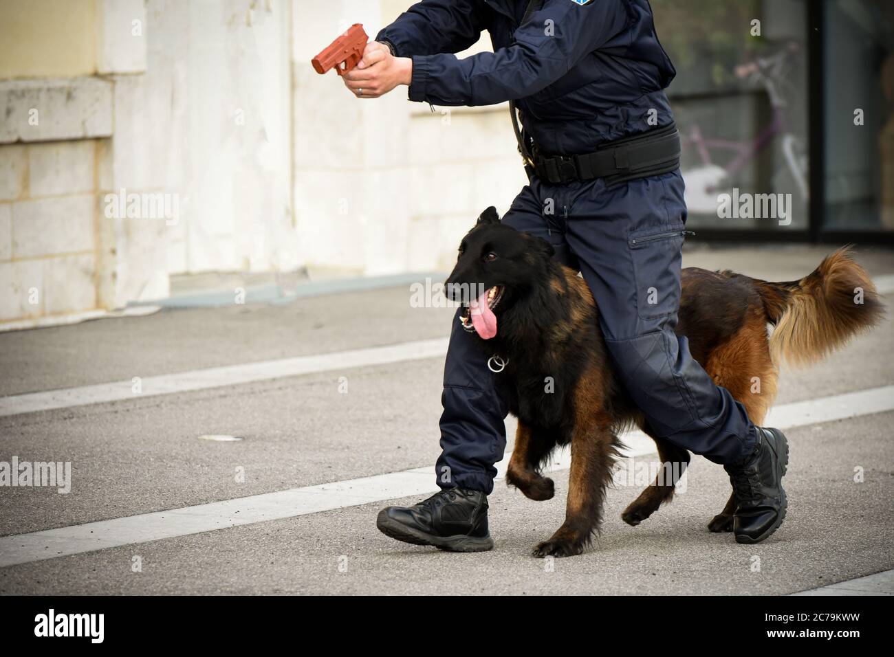 dimostrazione di cane poliziotto Foto Stock