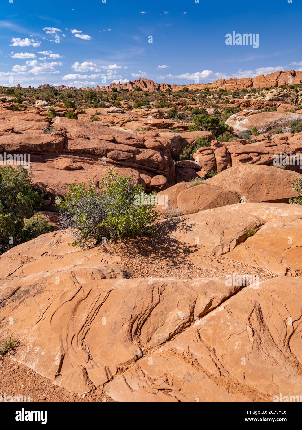 Dune pietrificate, Arches National Park, Utah, USA Foto Stock