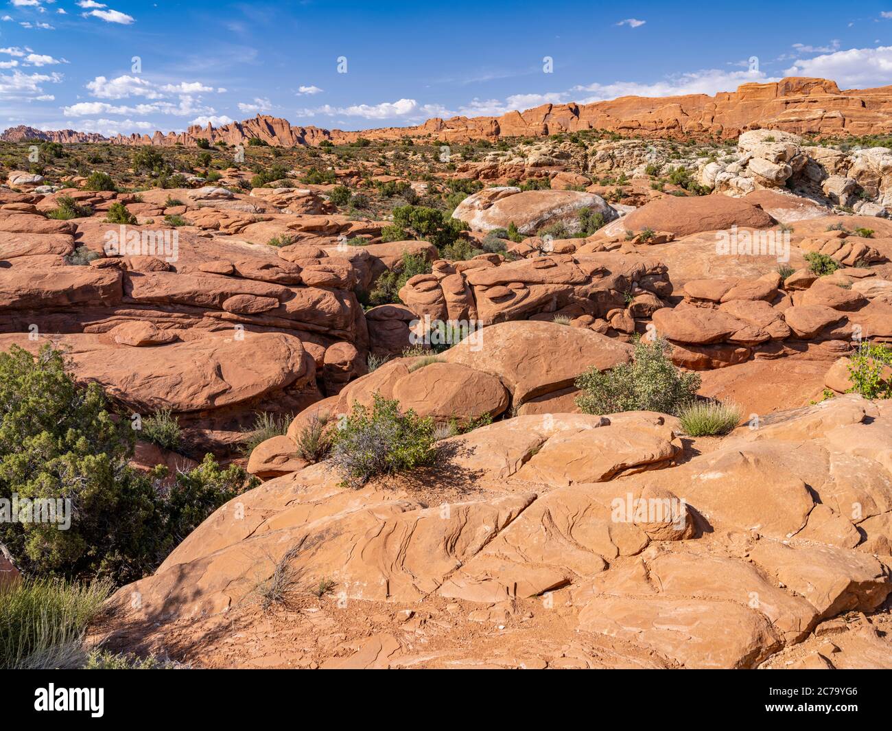 Dune pietrificate, Arches National Park, Utah, USA Foto Stock