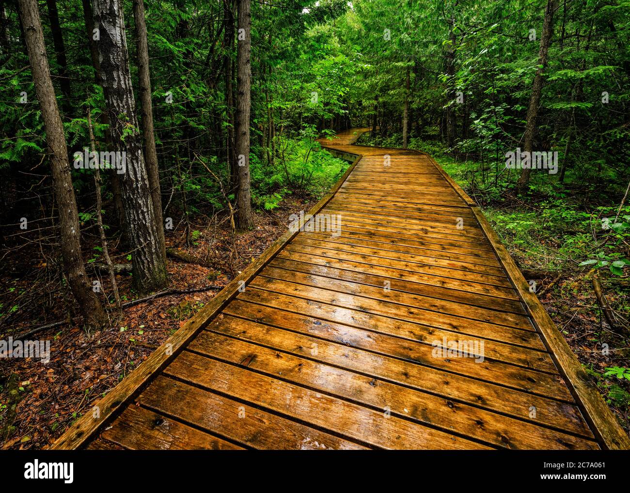 Brokenhead Wetlands Trail, Manitoba, Canada. Foto Stock