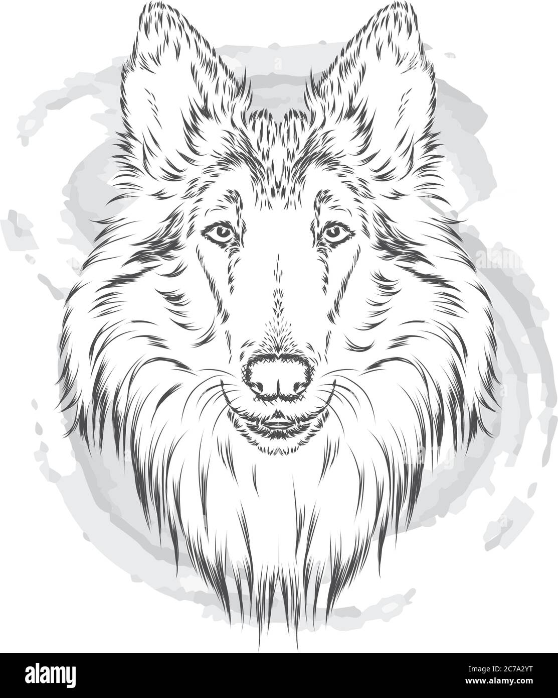 Carino cane che indossa un casco . Biker . Illustrazione vettoriale. Elemento di disegno per prodotti stampati o stampe su abiti e accessori . Illustrazione Vettoriale