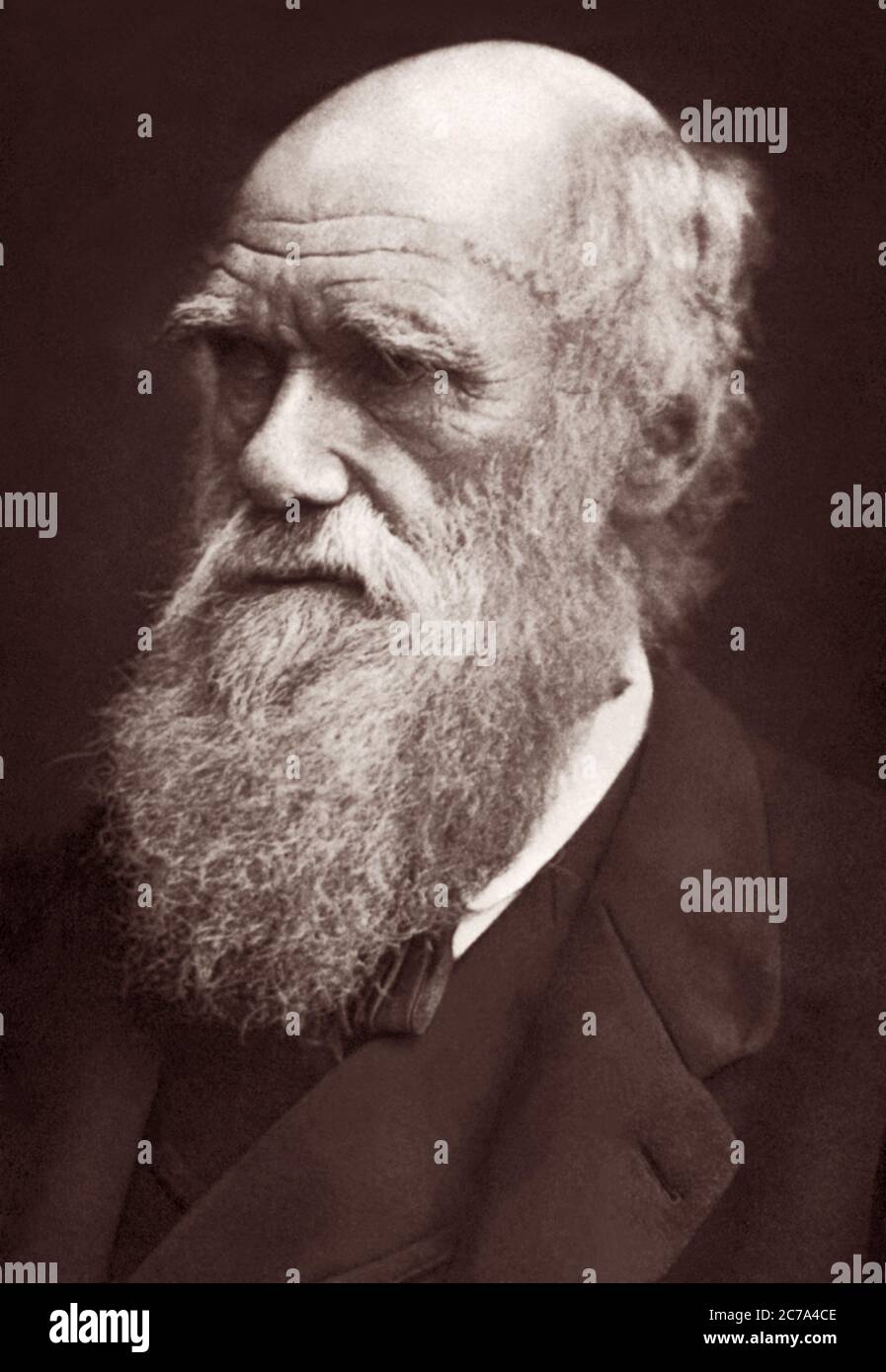 Charles Robert Darwin (1809-1882), evoluzionista e autore di on the Origin of Species, in un ritratto del 1877 di Lock e Whitfield. Foto Stock