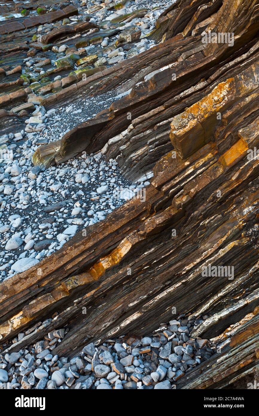 Flysch, Sakoneta beach, Deva, Gipuzkoa, il Paese Basco, la baia di Byscay, Spagna, Europa Foto Stock