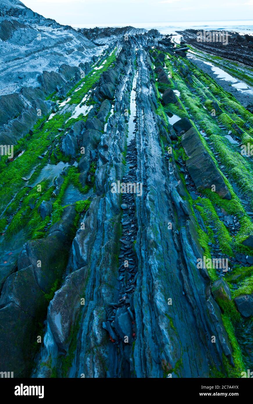 Flysch, Sakoneta beach, Deva, Gipuzkoa, il Paese Basco, la baia di Byscay, Spagna, Europa Foto Stock