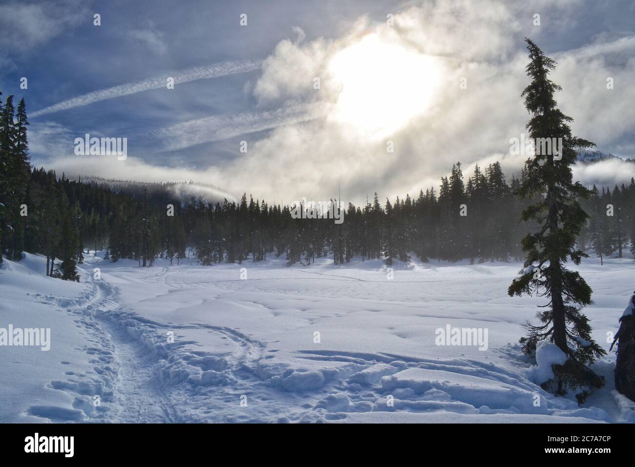 Sci di fondo e racchette da neve invernali sull'altopiano Proibita nel Parco Provinciale di Strathcona sull'Isola di Vancouver, British Columbia, Canada Foto Stock