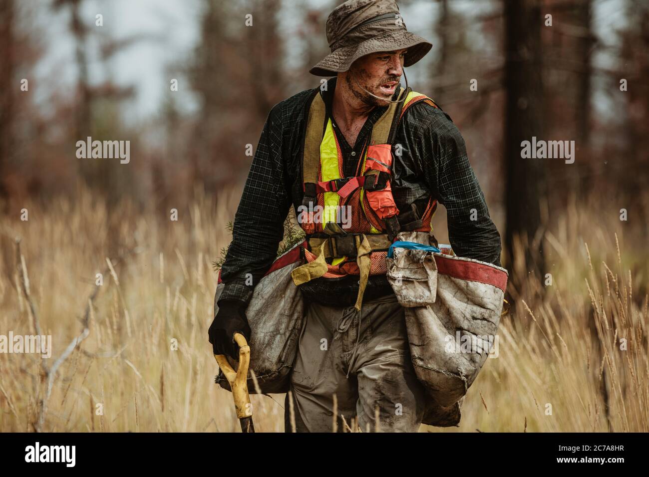 Uomo che lavora in foresta che piantano alberi nuovi. Forester con sacchi di nuove segature e foresta guardando via. Foto Stock