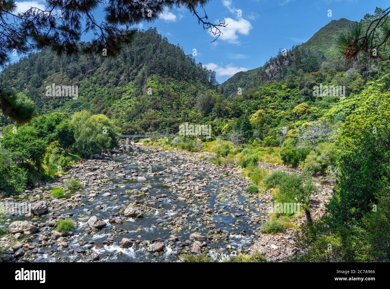 Fiume Ohinemuri, Karangahake Gorge Historic Walkway, Karangahake Gorge, Isola del Nord, Nuova Zelanda Foto Stock