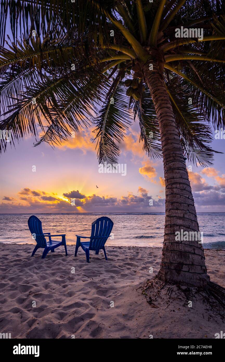 Alba perfetta con due sedie da spiaggia e palme, Grand Cayman Island Foto Stock