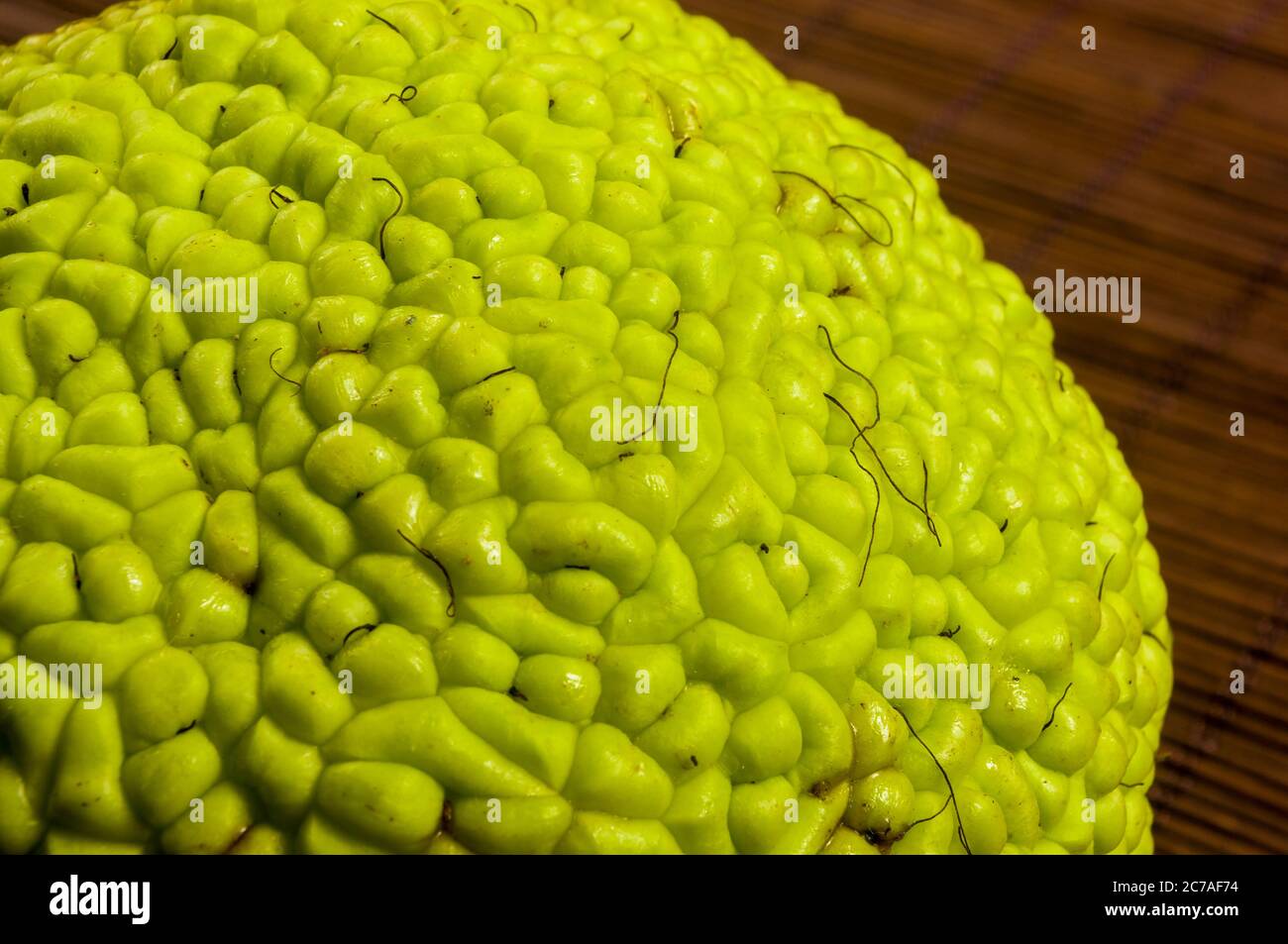 Frutta verde di maclura pomifera, arancio di oseta, mela di cavallo, mela di adamo crescono su stuoia di bambù Foto Stock