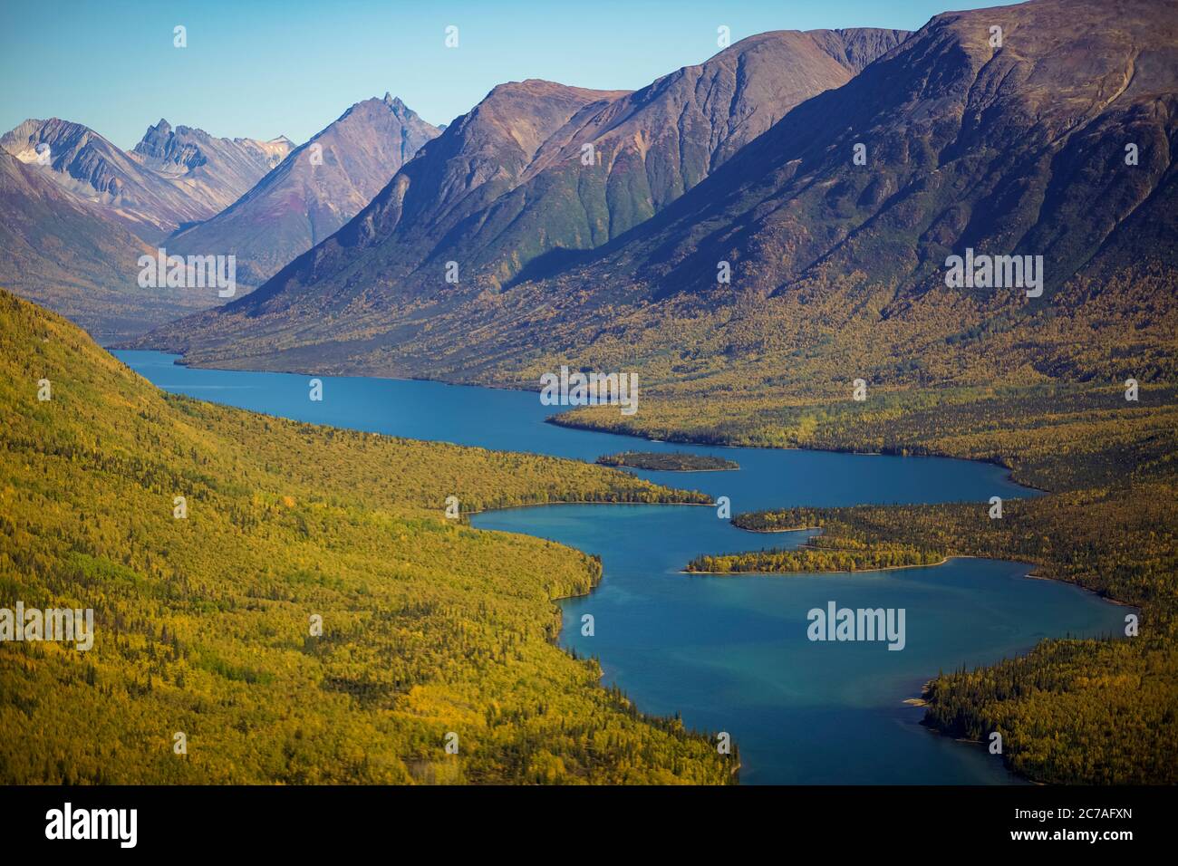 Una vista aerea mozzafiato di un fiume tortuoso annidato tra aspre montagne e foreste autunnali dorate nella natura selvaggia incontaminata dell'Alaska. Foto Stock