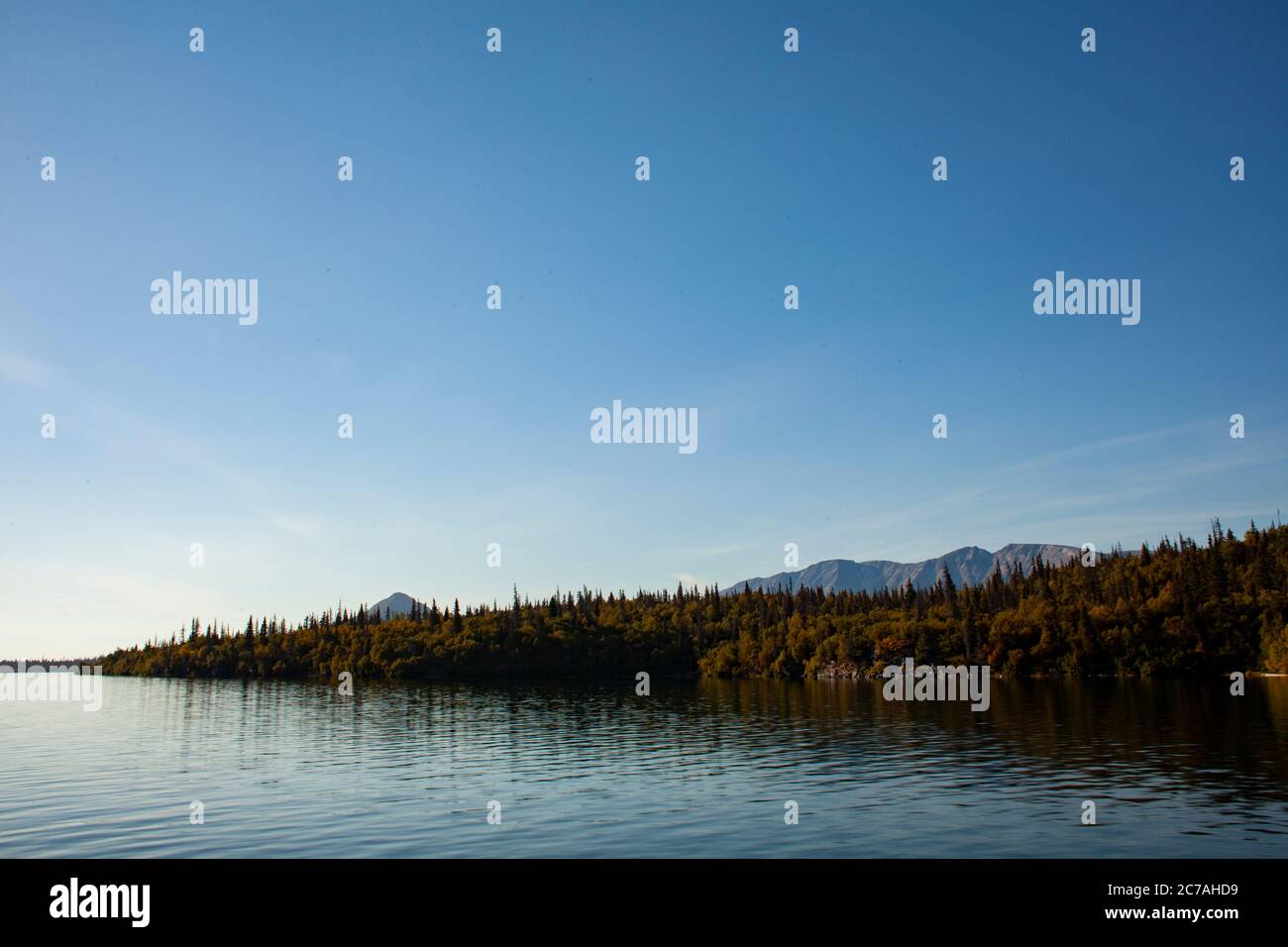 Lago incontaminato dell'Alaska con acque calme e riflettenti che rispecchiano aspre montagne sotto un cielo limpido, catturando la serenità incontaminata della natura selvaggia. Foto Stock