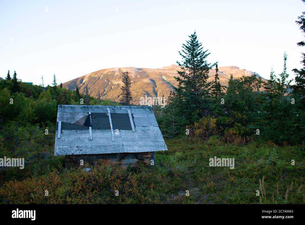 Una capanna rustica con tetto in stagno si trova in mezzo a una vegetazione lussureggiante vicino al lago ICommanna, Alaska, con uno splendido sfondo di montagna sotto il cielo limpido Foto Stock