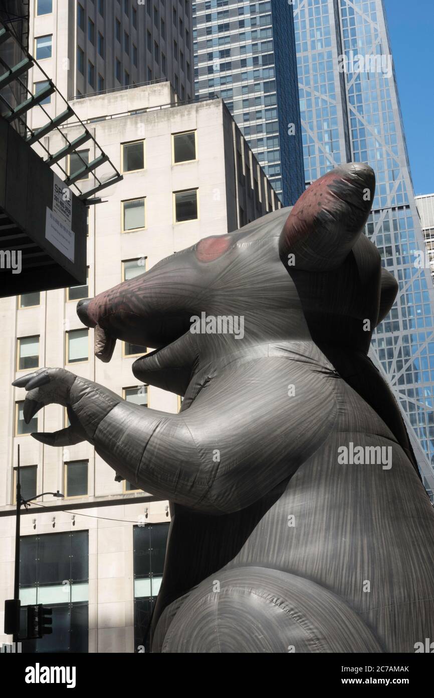 Lo 'cabby' è un Rat gigante gonfiabile alle dimostrazioni dell'Unione, New York City, USA Foto Stock