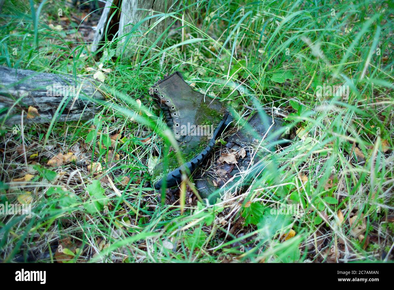 Un vecchio stivale coperto di muschio nascosto tra erba e fogliame nella natura selvaggia dell'Alaska vicino al lago Iliamna, un misterioso ricordo delle avventure passate Foto Stock