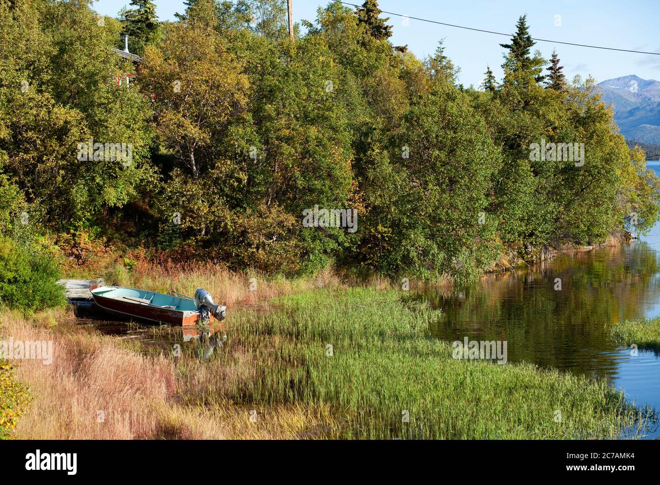 Barca da pesca ormeggiata sulla tranquilla riva del lago Iliamna, Alaska, circondata da vegetazione lussureggiante e colori autunnali sotto un cielo azzurro Foto Stock