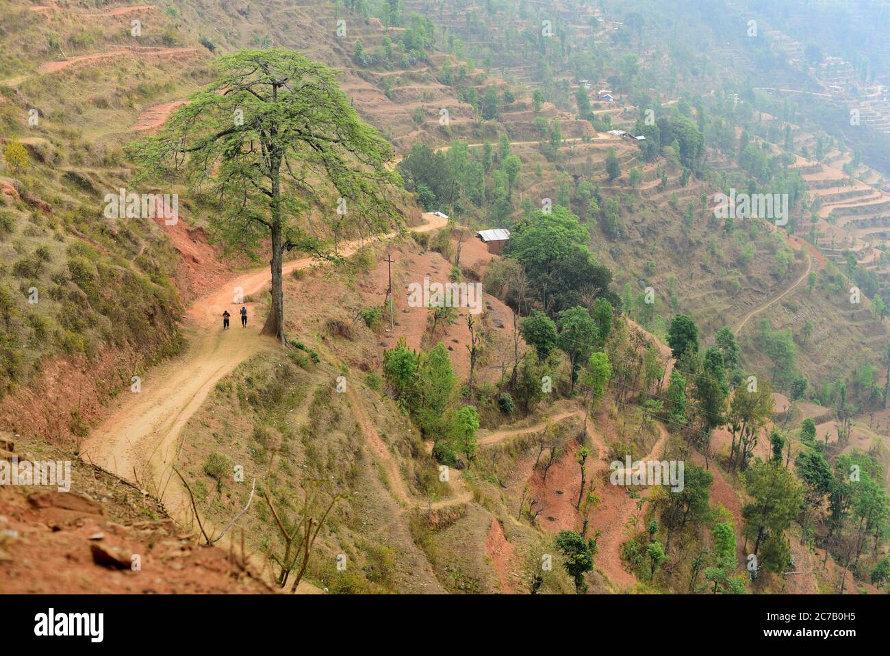 Un sentiero rurale su una ripida collina nel villaggio di Chandani Mandan, dove si sono verificate frane indotte dal terremoto nel 2015. Chandani Mandan, distretto di Kavrepalanchok, Bagmati Pradesh, Nepal. La rete stradale in Nepal ha subito danni moderati a causa del terremoto del 2015. I danni totali stimati alla Strategic Road Network (SRN) sono stati di 45,9 milioni di USD, mentre le perdite totali sono state stimate a 5,26 milioni di USD. Per quanto riguarda la rete stradale locale (LRN), i danni totali stimati sono stati di 124,85 milioni di dollari, mentre le perdite totali sono state di 42,74 milioni di dollari. Anche la strada rurale e i sentieri sono stati danneggiati o tagliati. Foto Stock