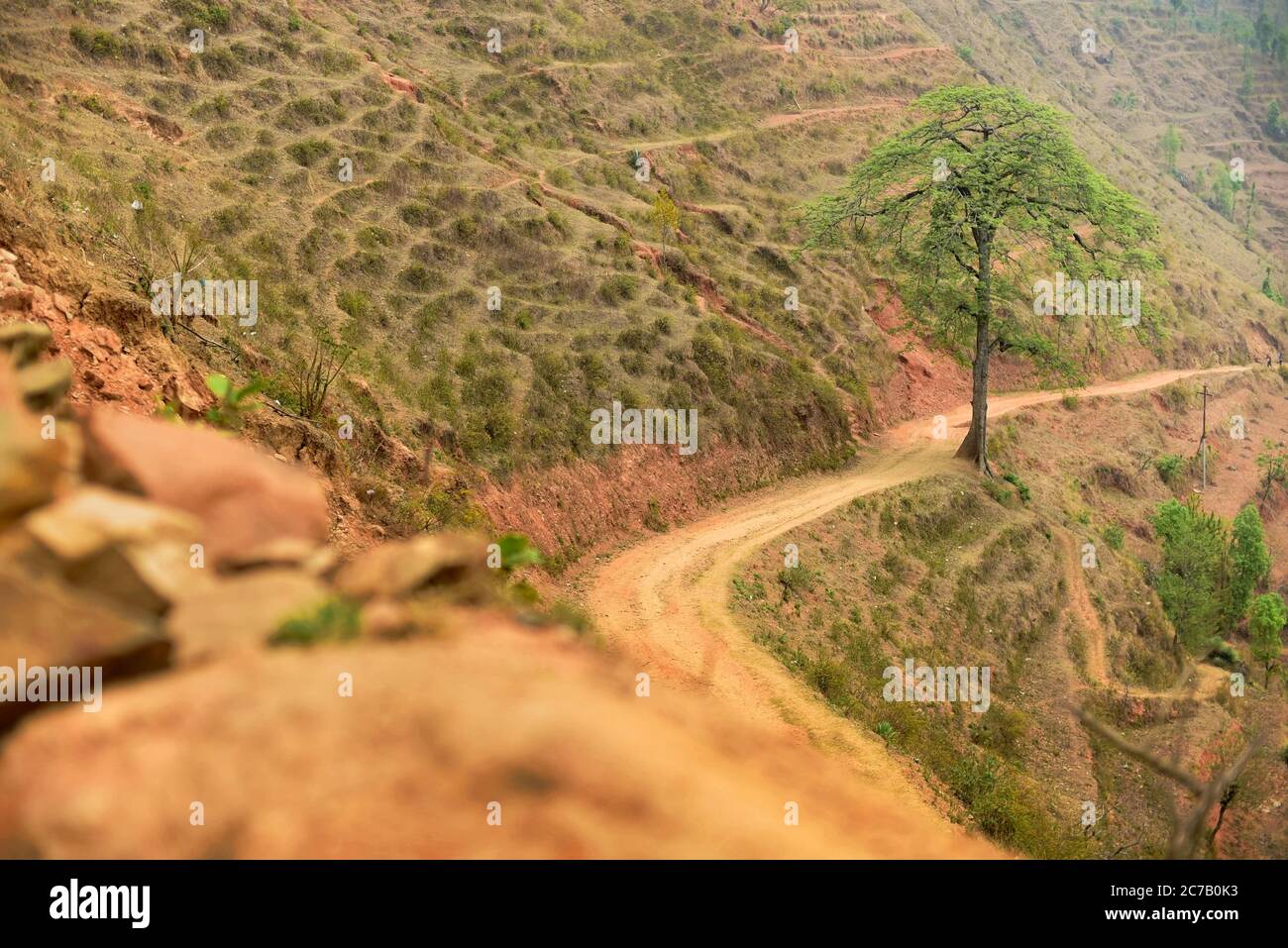 Un sentiero rurale su una ripida collina nel villaggio di Chandani Mandan, dove si sono verificate frane indotte dal terremoto nel 2015. Chandani Mandan, distretto di Kavrepalanchok, Bagmati Pradesh, Nepal. La rete stradale in Nepal ha subito danni moderati a causa del terremoto del 2015. I danni totali stimati alla Strategic Road Network (SRN) sono stati di 45,9 milioni di USD, mentre le perdite totali sono state stimate a 5,26 milioni di USD. Per quanto riguarda la rete stradale locale (LRN), i danni totali stimati sono stati di 124,85 milioni di dollari, mentre le perdite totali sono state di 42,74 milioni di dollari. Anche la strada rurale e i sentieri sono stati danneggiati o tagliati. Foto Stock